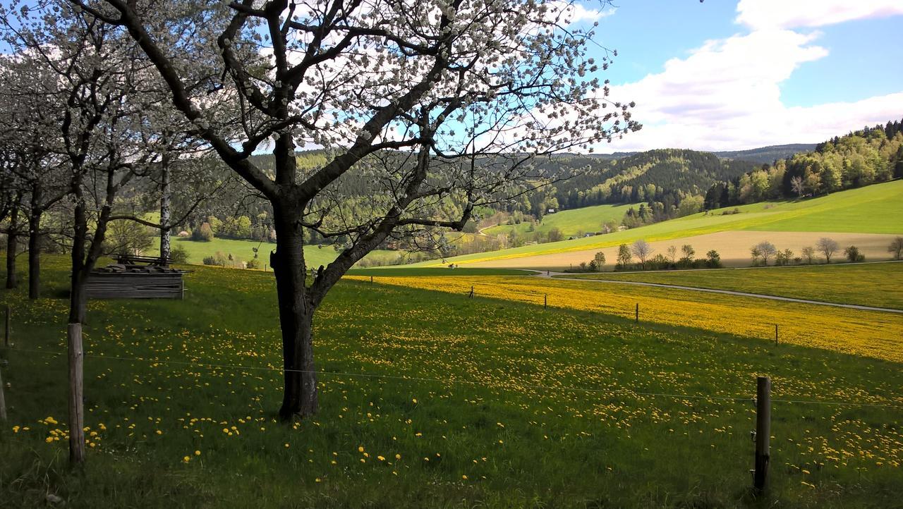 Ferienwohnungen Weissflog Schwarzenberg  Zewnętrze zdjęcie